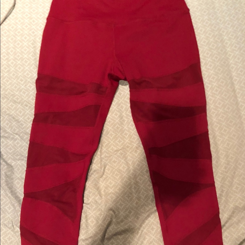 Buff Bunny leggings.